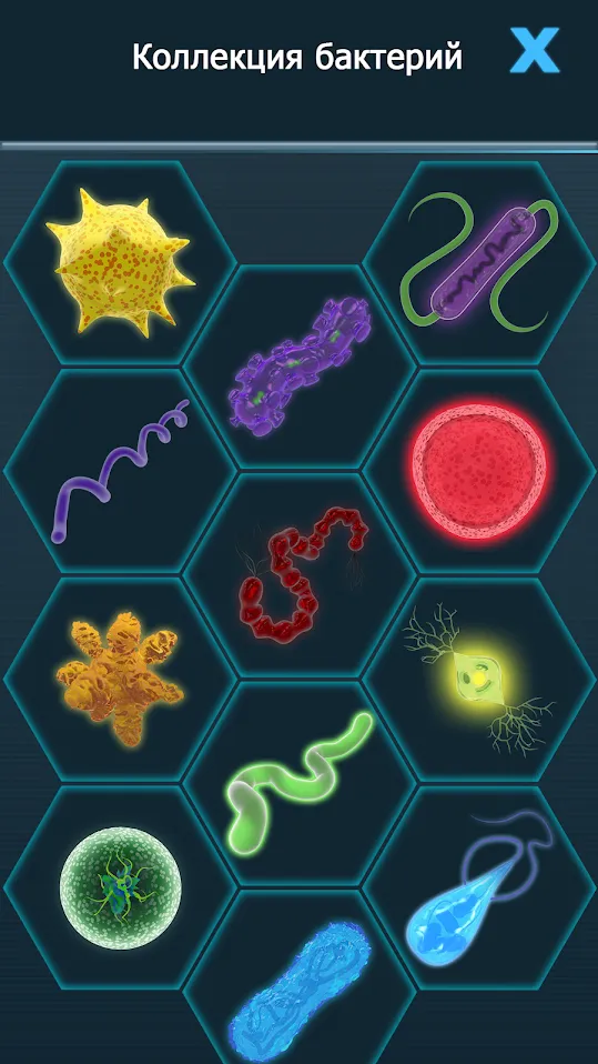 Legend of Solgard [мод: меню] Screenshot 2