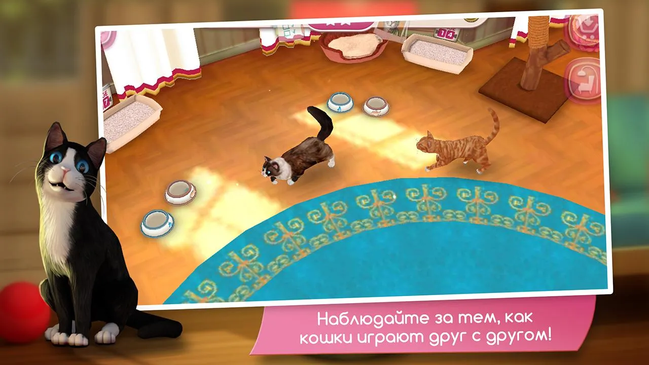 Видеоредактор Movavi Clips Pro [мод: всё открыто] Screenshot 4