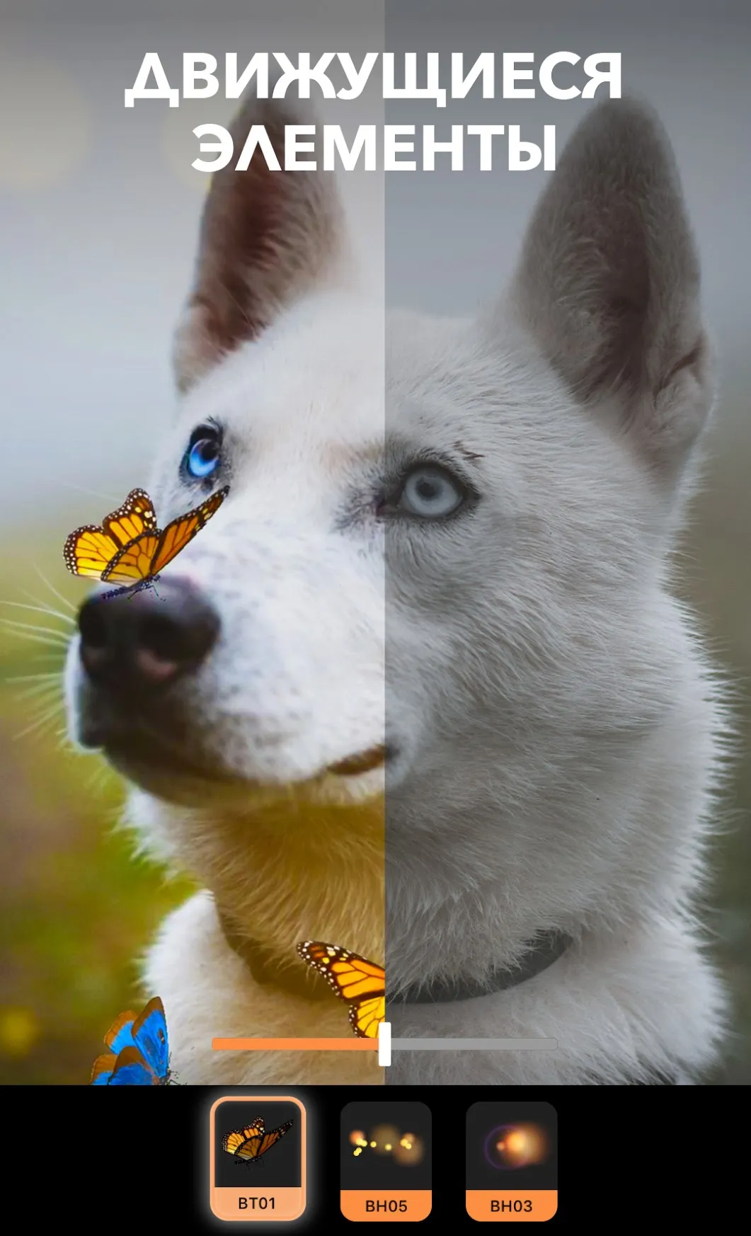 Корпорация 