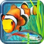 Quell Reflect+ [мод: бесплатные покупки]