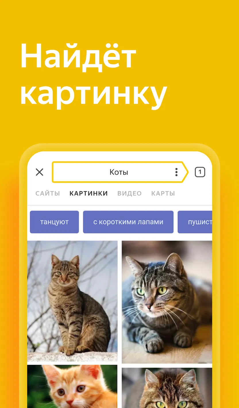 Муслим про: время намаза коран Screenshot 2