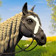 Download Star Equestrian - Horse Ranch MOD [Unlimited money] + MOD [Menu] APK for Android