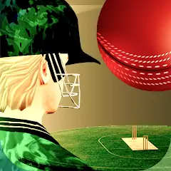 Download Cricket Fly - Sports Game MOD [Unlimited money/gems] + MOD [Menu] APK for Android