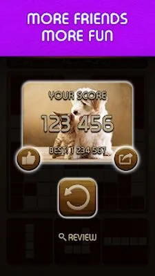 Baixe Woody Block Puzzle ® (MOD Premium Desbloqueado) para Android - Captura de tela 4