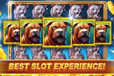 Baixe Slots Casino Royale: Jackpot (MOD Premium Desbloqueado) para Android - Captura de tela 4