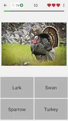 Baixe Animals Quiz Learn All Mammals (Dinheiro Infinito MOD) para Android - Captura de tela 2