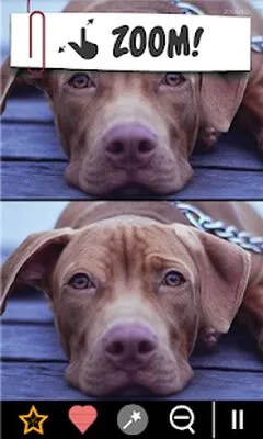 Baixe Find the Difference 750 + níveis (MOD Premium Desbloqueado) para Android - Captura de tela 4