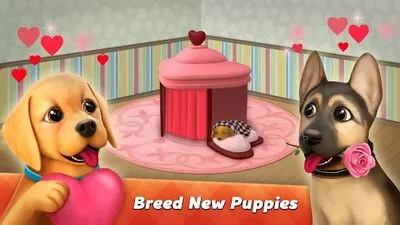 Baixe Dog Town: Pet Shop, Jogos de Cuidado (MOD de Dinheiro Ilimitado) para Android - Captura de tela 1