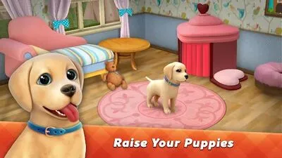 Baixe Dog Town: Pet Shop, Jogos de Cuidado (MOD de Dinheiro Ilimitado) para Android - Captura de tela 2