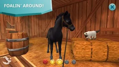 Baixe Star Stable Horses (MOD de Moedas Ilimitadas) para Android - Captura de tela 4