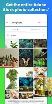 Baixe o Creative Cloud Express: Design (Versão Pro MOD) para Android - Captura de tela 3