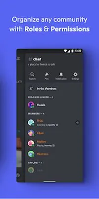 Baixe o Discord (Versão Pro MOD) para Android - Captura de tela 3
