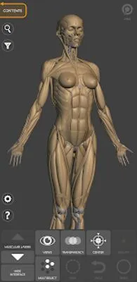 Baixe 3D Anatomy for the Artist (MOD Premium) para Android - Captura de tela 2