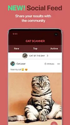 Baixe Cat Scanner: Reconhecimento de Raça (MOD Desbloqueado) para Android - Captura de tela 2
