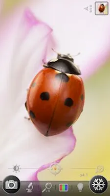 Baixe Magnifier & Microscope [Cozy] (Versão Pro MOD) para Android - Captura de tela 1