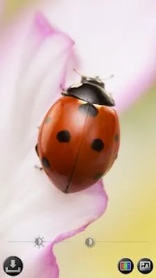 Baixe Magnifier & Microscope [Cozy] (Versão Pro MOD) para Android - Captura de tela 3