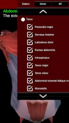 Baixe Muscular System 3D (anatomia) (Versão Pro MOD) para Android - Captura de tela 3