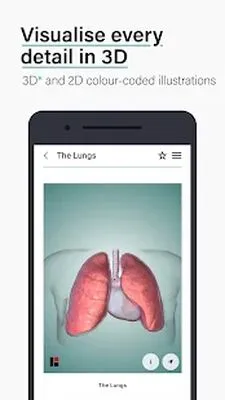 Baixe Teach Me Anatomy (MOD de Anúncios Livre) para Android - Captura de tela 4