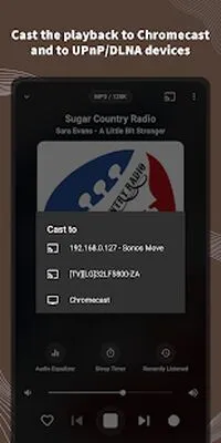 Baixe VRadio (MOD Premium) para Android - Captura de tela 3