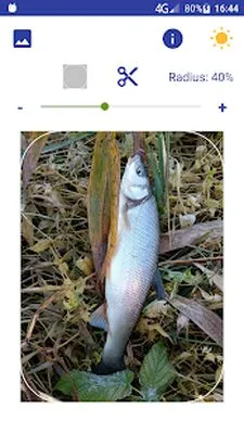 Baixe Rounding Picture Corners (Premium MOD) para Android - Captura de tela 2