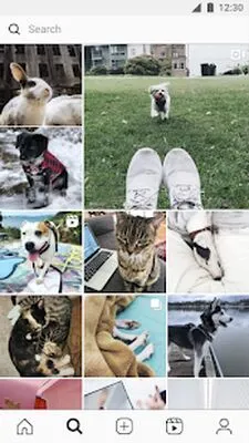 Baixe Instagram Lite (MOD Grátis Sem Anúncios) para Android - Captura de tela 2