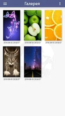 Baixe Globus: Renda Extra (MOD Desbloqueado) para Android - Captura de tela 4