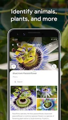 Baixe Google Lens (MOD Premium) para Android - Captura de tela 1