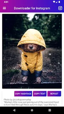 Baixe o Downloader para Vídeo do Instagram (Versão Pro MOD) para Android - Captura de tela 2