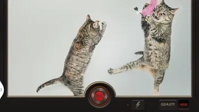 Baixe Slow Motion Video FX: editor de mo rápido e lento (MOD Desbloqueado) para Android - Captura de tela 3