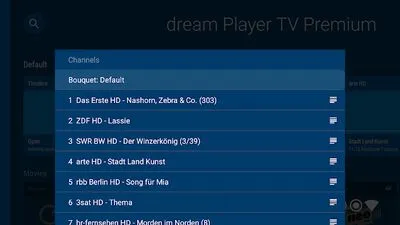 Baixe o Dream Player para Android TV (MOD Ad Grátis) para Android - Captura de tela 3