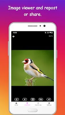 Baixe o Photo and Video Downloader para Instagram (MOD Anúncios Grátis) para Android - Captura de tela 4