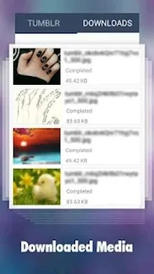Baixe o Downloader para Tumblr (MOD desbloqueado) para Android - Captura de tela 2