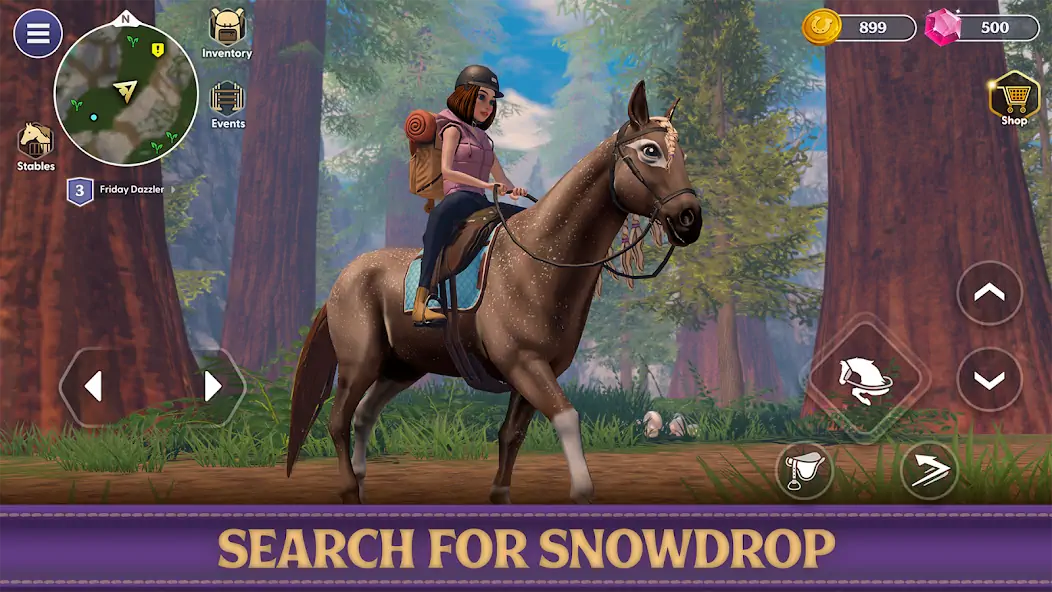 Download Star Equestrian - Horse Ranch MOD [Unlimited money] + MOD [Menu] APK for Android