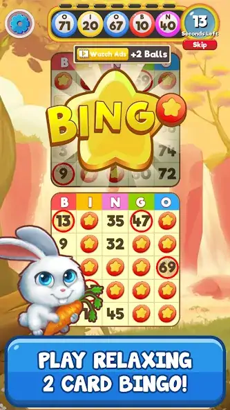 Download Bingo: Free the Pets MOD [Unlimited money] + MOD [Menu] APK for Android