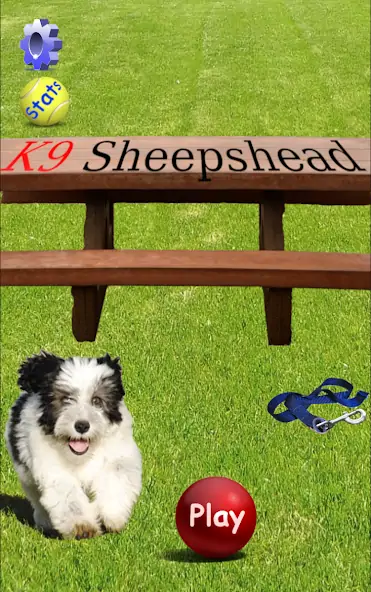 Download K9 Sheepshead (Schafkopf) MOD [Unlimited money/gems] + MOD [Menu] APK for Android