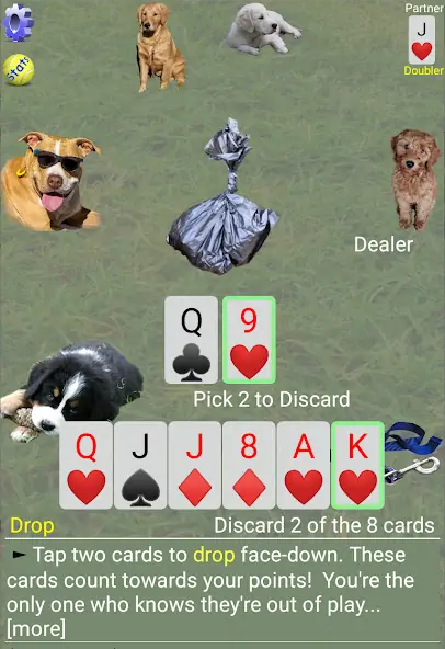 Download K9 Sheepshead (Schafkopf) MOD [Unlimited money/gems] + MOD [Menu] APK for Android