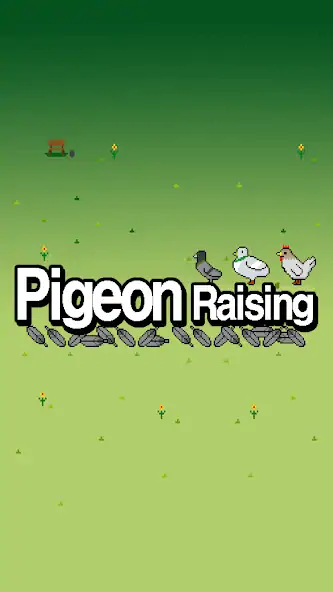 Download Pigeon Raising MOD [Unlimited money/gems] + MOD [Menu] APK for Android