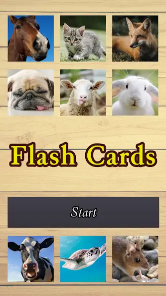 Download Flash Cards MOD [Unlimited money/coins] + MOD [Menu] APK for Android
