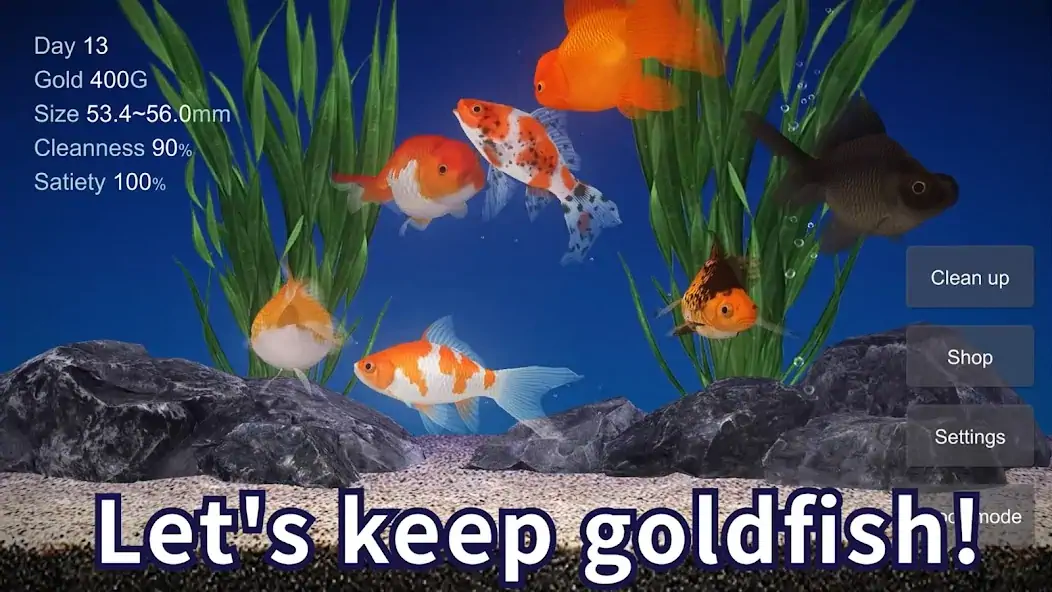 Download Goldfish 3D Relaxing Aquarium MOD [Unlimited money/coins] + MOD [Menu] APK for Android