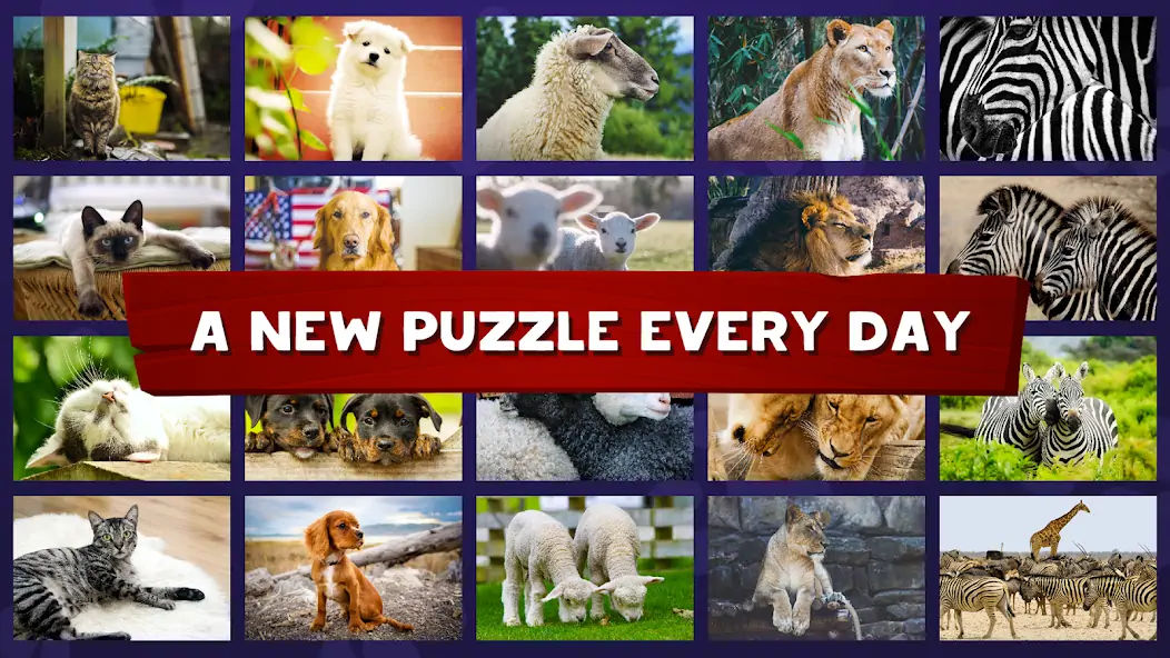 Download Your Jigsaw Puzzles: Animals MOD [Unlimited money] + MOD [Menu] APK for Android