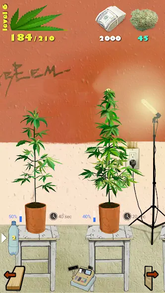 Download Weed Firm: RePlanted MOD [Unlimited money/gems] + MOD [Menu] APK for Android