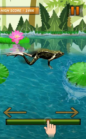 Download Frog Jumping Mania MOD [Unlimited money] + MOD [Menu] APK for Android