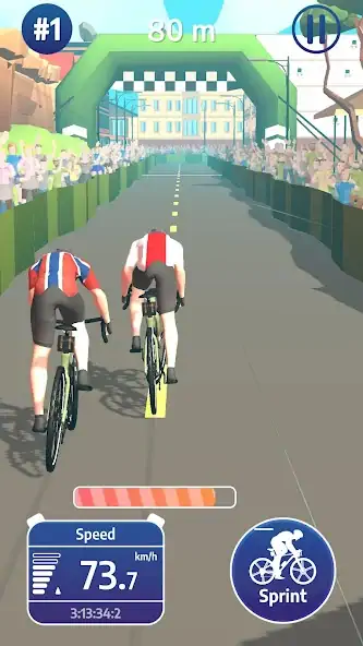 Download Cycling Legends: Team Manager MOD [Unlimited money] + MOD [Menu] APK for Android